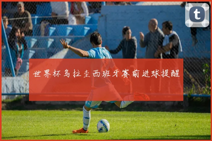 世界杯乌拉圭西班牙赛前进球提醒