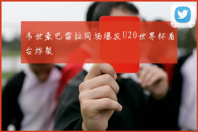 韦世豪巴雷拉同场爆发U20世界杯看台炸裂