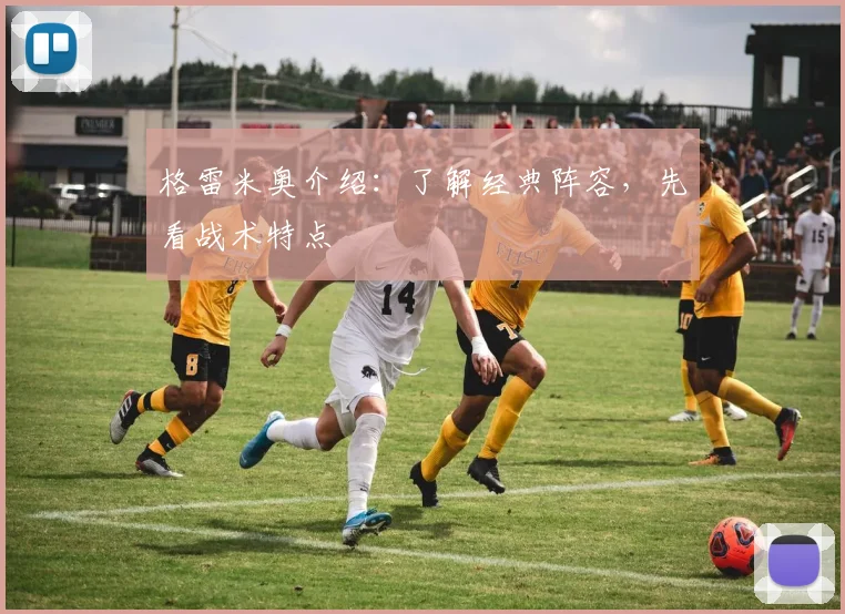格雷米奥介绍:了解经典阵容,先看战术特点