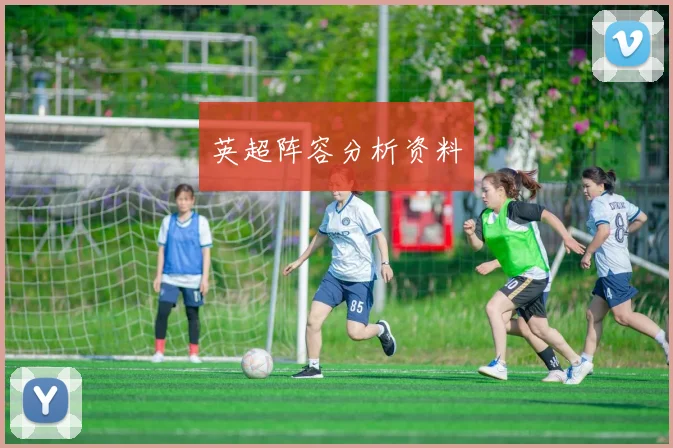 英超阵容分析资料
