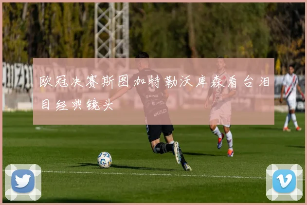 欧冠决赛斯图加特勒沃库森看台泪目经典镜头