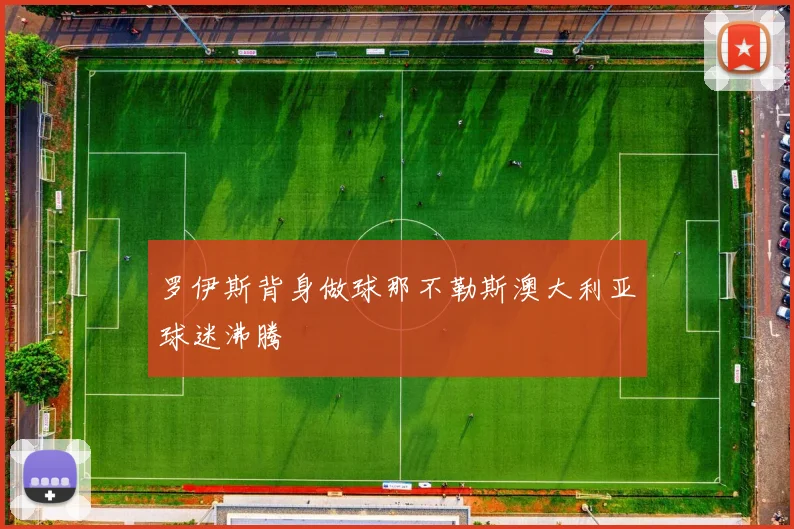 罗伊斯背身做球那不勒斯澳大利亚球迷沸腾