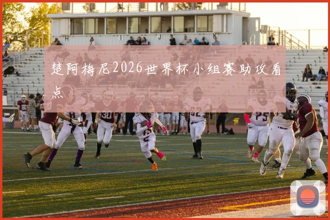 楚阿梅尼2026世界杯小组赛助攻看点