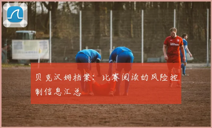 贝克汉姆档案：比赛阅读的风险控制信息汇总